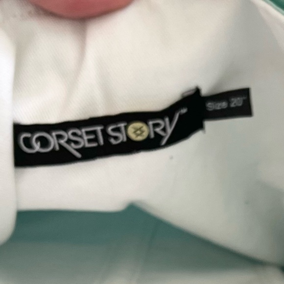 CORSET STORY NWT Tropical Mesh Panel Corset Dress Romantic Feminine Victorian - Picture 7 of 16